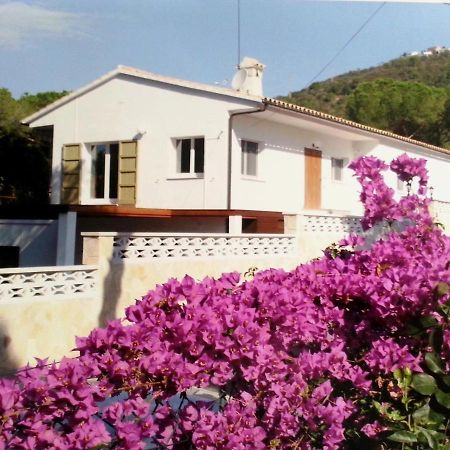 Villa Felices Juntos Platja d'Aro Exterior foto